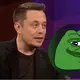 PEPE Elon Musk